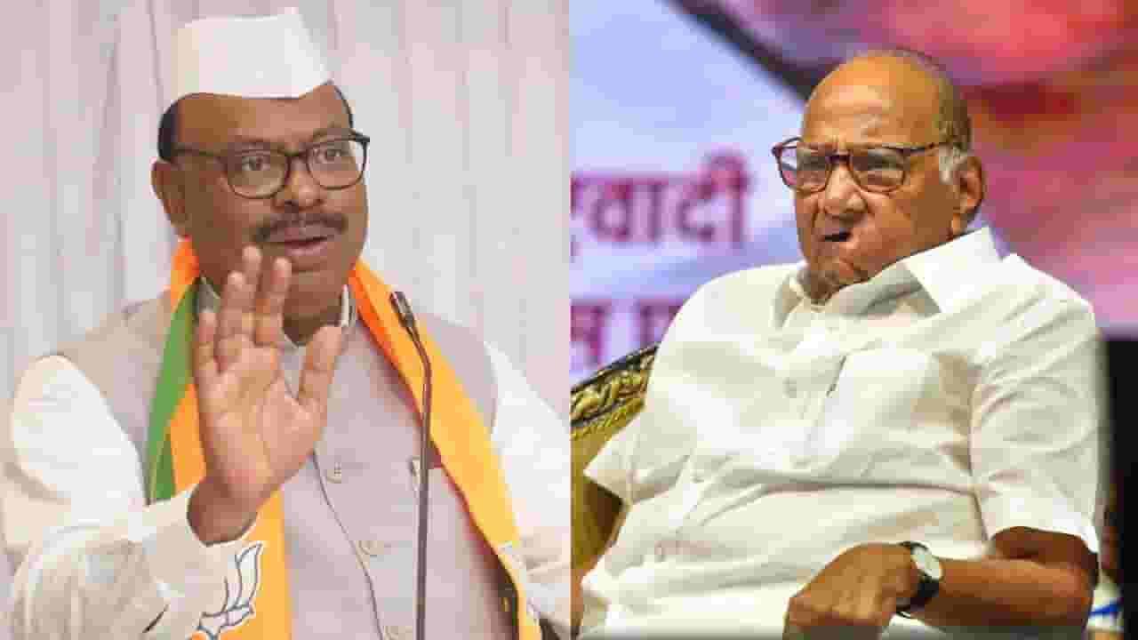 अजित पवार यांच्यानंतर शरद पवार भाजपसोबत येणार? चंद्रशेखर बावनकुळे यांचं सूचक विधान अजित पवार यांच्यानंतर शरद पवार भाजपसोबत येणार? चंद्रशेखर बावनकुळे यांचं सूचक विधान