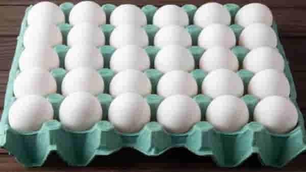 Egg Price : कडकनाथ नाही या कोंबडीचे अंडे आहेत सर्वात महाग, १०० रुपये आहे किंमत