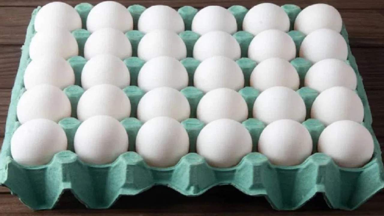 Egg Price : कडकनाथ नाही या कोंबडीचे अंडे आहेत सर्वात महाग, १०० रुपये आहे किंमत