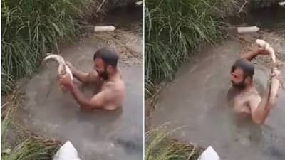 VIDEO | गढूळ पाण्यात बुडून मासे पकडतोय, असं टॅलेंट खूप कमी पाहायला मिळतं