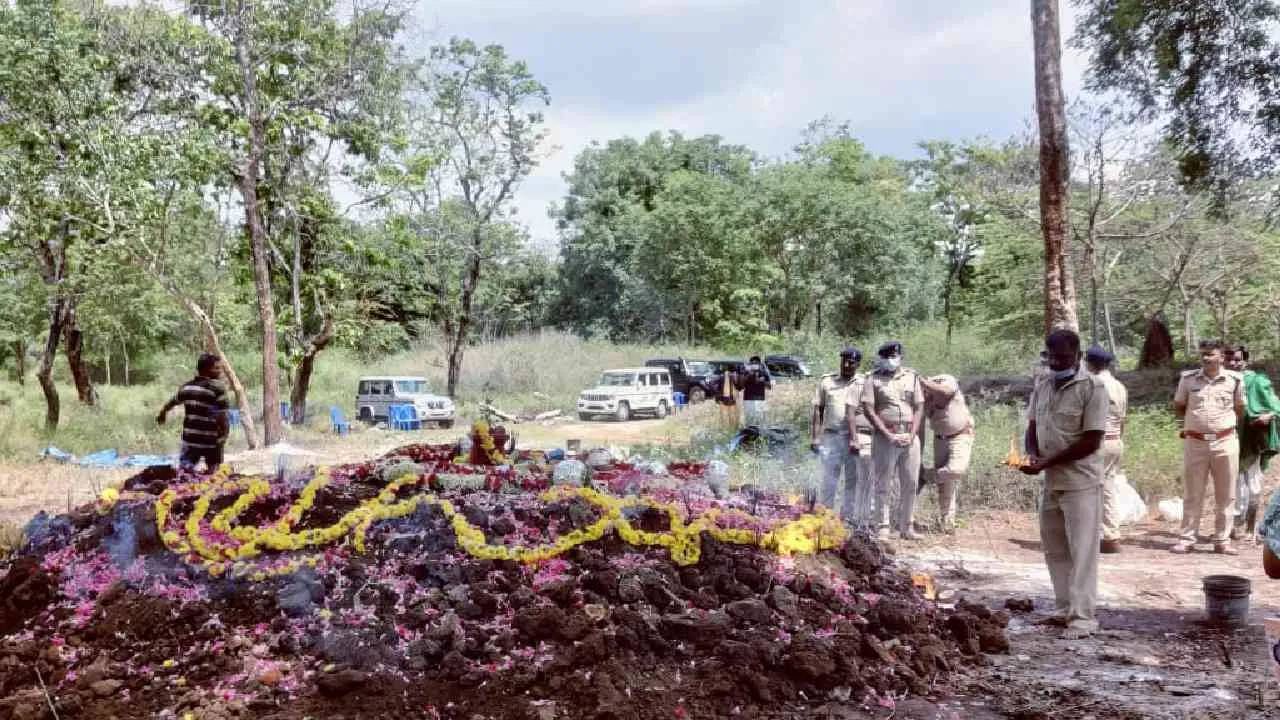 सोन्याची अंबारी 14 वेळा वाहणारा आणि सर्वांचा लाडका असलेल्या बलराम हत्तीचा आजारामुळे मृत्यू झाला. त्याच्यावर अंत्यसंस्कार करण्यात आले.