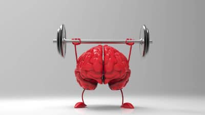 मेमरी शार्प करण्यासाठी आहारात करा या गोष्टींचा समावेश