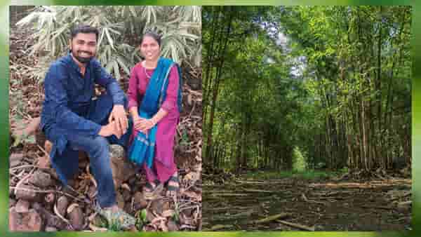 एम-इंडीकेटर अॅपचे सचिन टेके यांनी साकारले बांबूवन, बांबू लागवडीसाठी सुधागड येथे 13 मे रोजी मोफत मार्गदर्शन