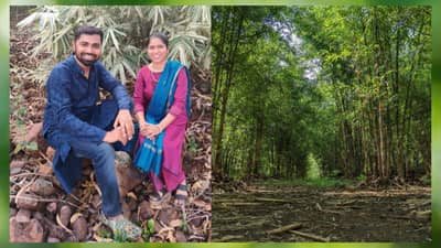 एम-इंडीकेटर अॅपचे सचिन टेके यांनी साकारले बांबूवन, बांबू लागवडीसाठी सुधागड येथे 13 मे रोजी मोफत मार्गदर्शन