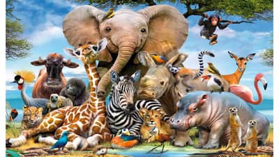 कोणता प्राणी उलटा चालू शकत नाही? सांगा, सांगा