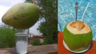 कधी पाणी जास्त हवं असतं तर कधी मलई, कसा विकत घ्यायचा योग्य नारळ? टिप्स