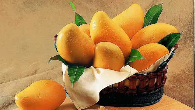 जगातलं एकमेव आंब्याचं झाड ज्याला लागतात 300 प्रकारचे आंबे! ऐकलीये का मँगो मॅन ऑफ द वर्ल्ड ची कहाणी?