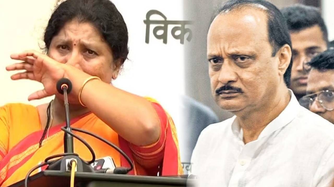 काकारे, मामारे करत रडण्यापेक्षा, अजित पवार यांनी अंधारेंना का फटकारलं? विचारलं कुठल्या पक्षाच्या?