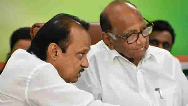 राष्ट्रवादीचे कार्यकर्ते काम करण्यासाठी आहेत की सतरंज्या उचलायला? कुणी केला खोचक सवाल?
