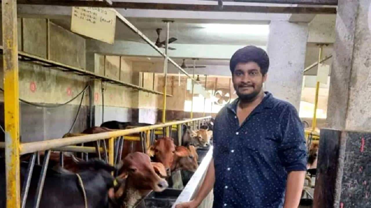 Jaiguru Achar Harinder : ऐकावे ते नवलच! दुधामुळेच नाही तर गायीच्या शेणामुळे झाला करोडपती