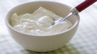 Mayonnaise: तुम्हालाही मेयोनीज खाण्याची आवड आहे का? हे मेयोनीज खाण्याचे तोटे