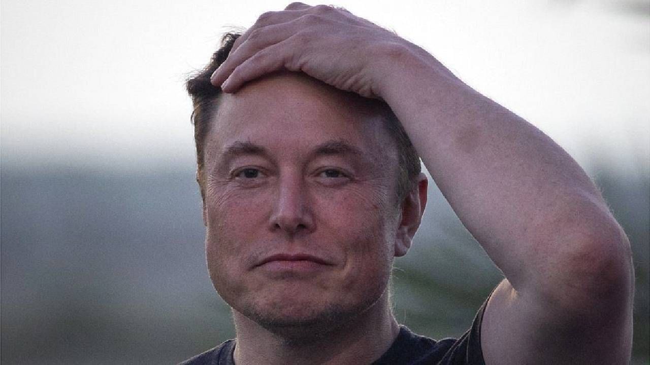 Elon Musk : ट्विटरची झूल हटवली, आता एलॉन मस्क करणार जोरदार बॅटिंग