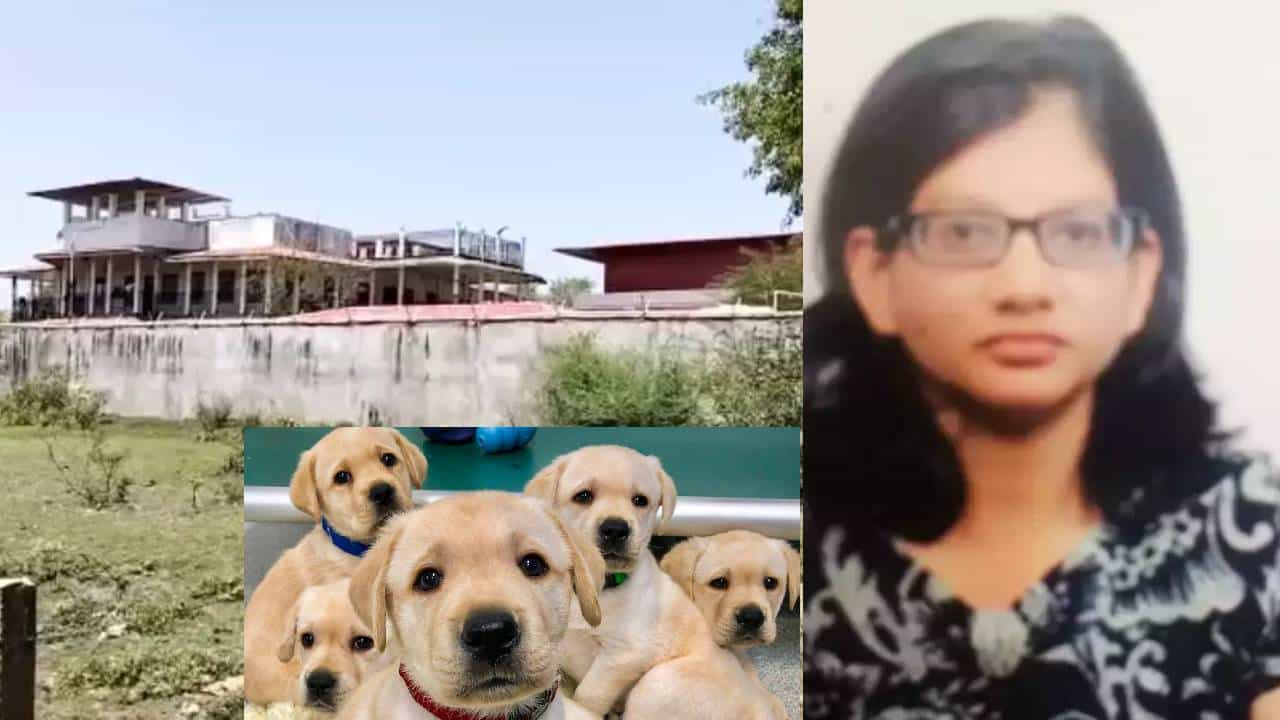 शान शौकत ! कुत्र्यांसाठी विदेशी दारू, अंघोळीला बाथटब, 30000 पगारात कुणाला परवडतं?; त्या फार्म हाऊसमधील धक्कादायक रहस्य