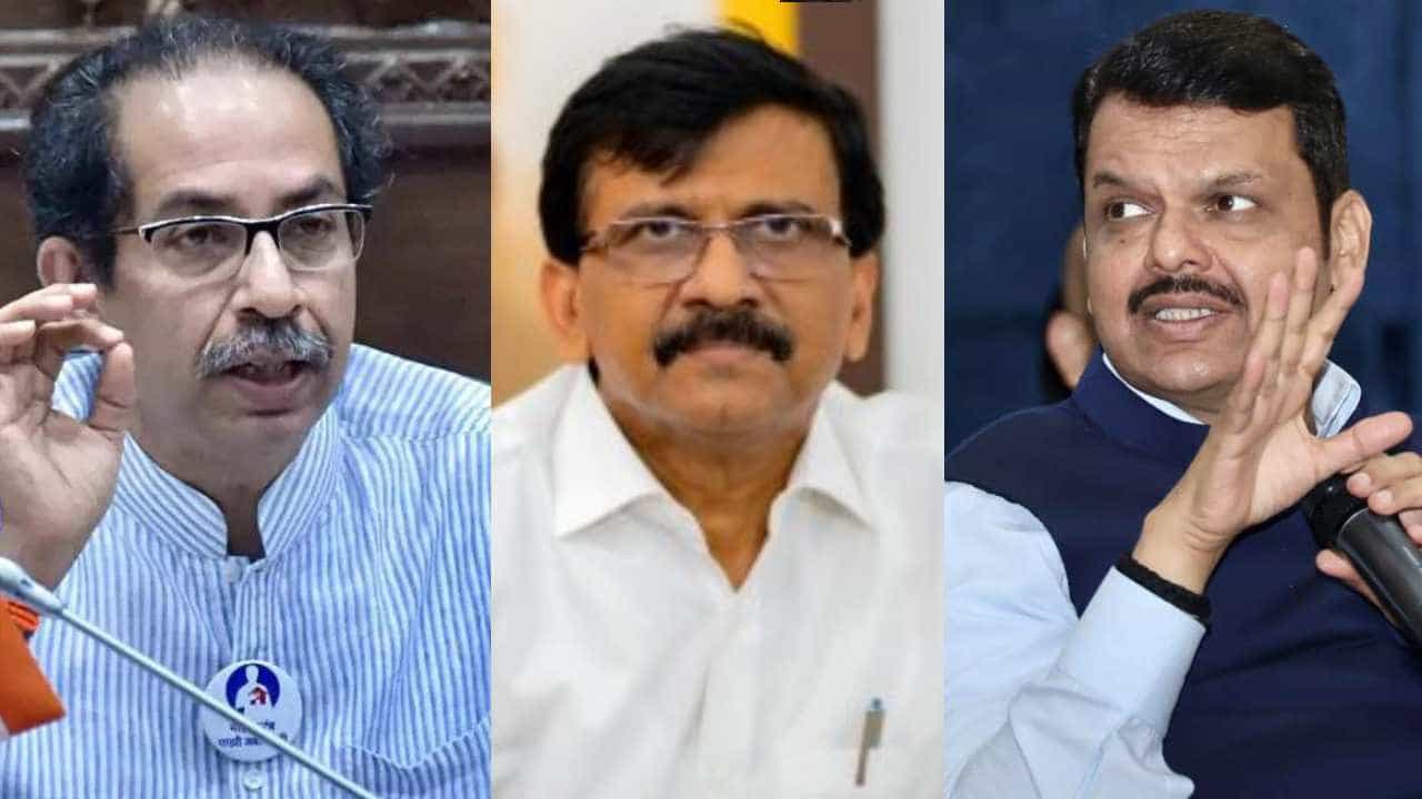 पोपट, मेलेला पोपट अन् आरोप प्रत्यारोप; राज्याच्या राजकारणात नेमकं चाललंय काय? पाहा...