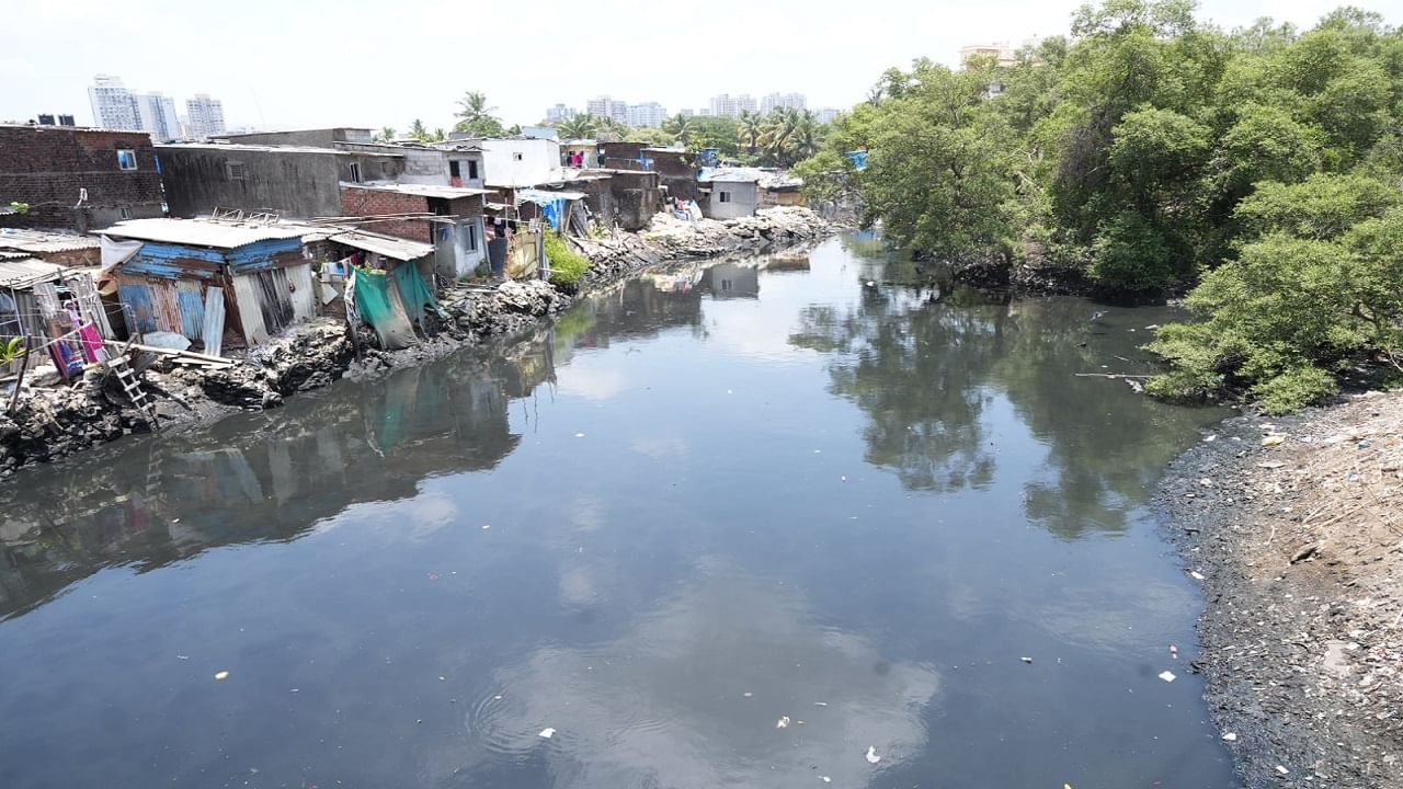 तर भिम नगर नाल्याती सफाई करण्यात आली असली तरी नाल्याच्या काठावर अनधिकृत बांधकामे असल्याने या नाल्याची रुंदी कमी झाली आहे. तर दहिसर नदीच्या सफाईचे काम अद्याप सुरु असून बराच गाळ नदीत बाकी आहे. त्यामुळे याबाबत बोलताना आमदार अँड आशिष शेलार यांनी सांगितले की, महापालिकेने गाळाच्या वजनाची जशी आकडेवारी जाहीर केलेय तशी किती खोल गाळ काढला याची आकडेवारी जाहीर करावी तरच कळेल किती सफाई झाली. अन्यथा तरंगता गाळ काढून सफाई झाल्याचे चित्र कंत्राटदार उभे करतील, अशी भिती त्यांनी व्यक्त केली.