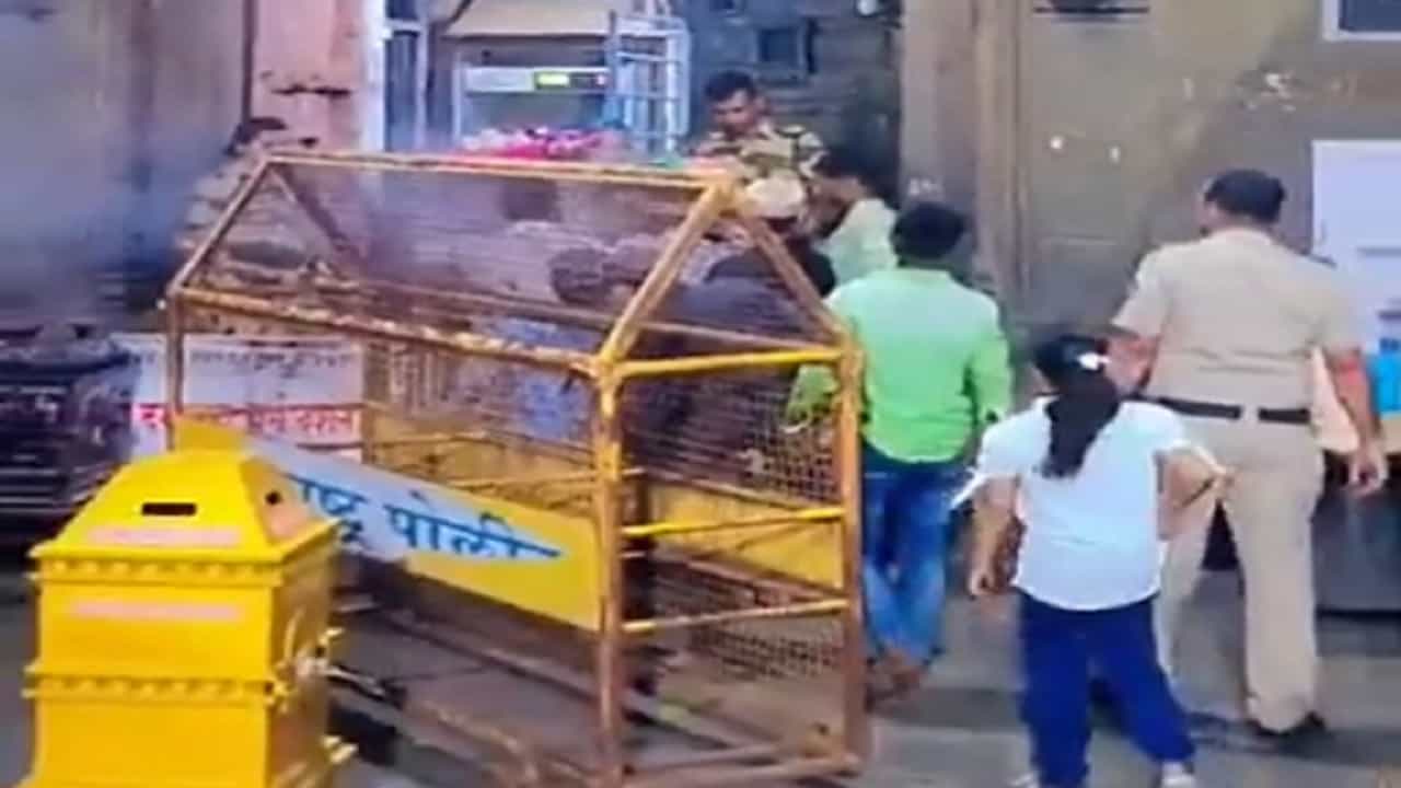 त्र्यंबकेश्वर मंदिरात नेमकं काय घडलं? पोलिसांनी काय कारवाई केली?