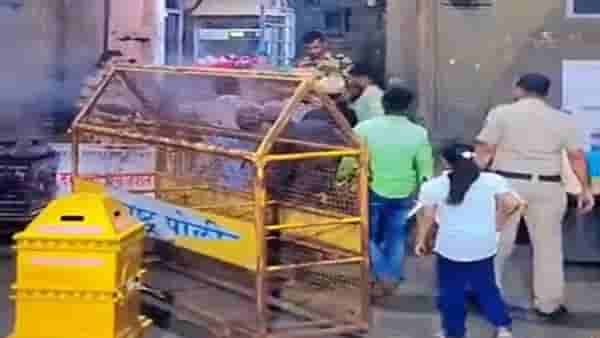 त्र्यंबकेश्वर मंदिरात घुसण्याचा प्रयत्न नाही, ही दरवर्षीची प्रथा? ऊरुस आयोजकांचा दावा