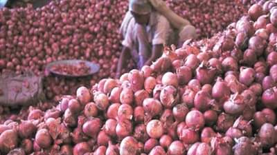 दुर्दैव! मेहनतं घेतली, पोटच्या बाळाप्रमाणे सांभाळलं पण…; नंतर रस्त्यावर फेकावं लागलं; असं का झालं शेतकऱ्याबरोबर