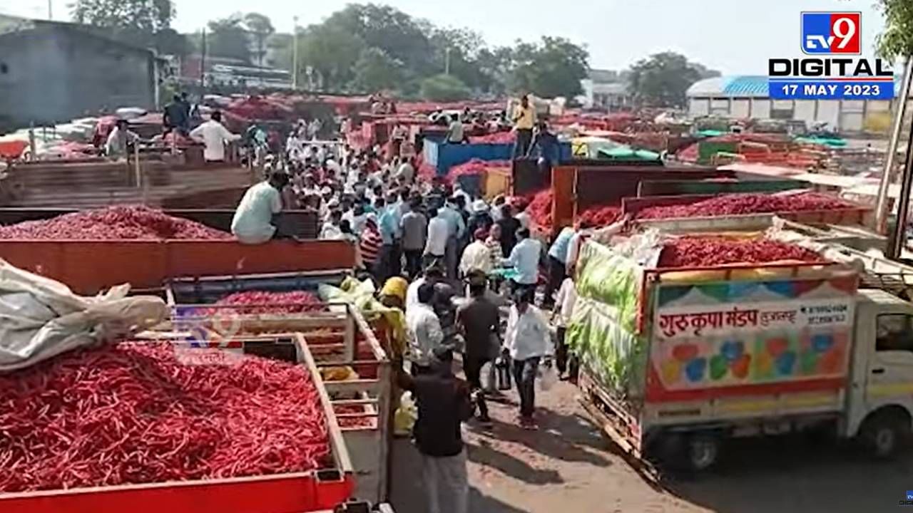 मिरचीच्या आगारात मिरचीचा पूर; आवक वाढली अन् उलाढाल ही; आतापर्यंत 105 कोटी रूपयांची...