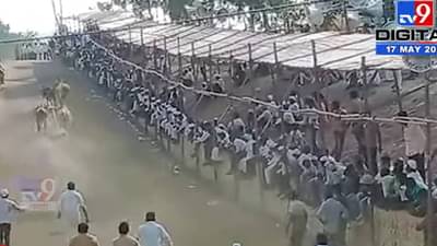 480 बैलगाड्या, लाखोंच बक्षीस, दुचाक्या गाड्याही अन् कळंब बैलगाडा शर्यतीत नुसता थरार! घाटात अशीही सोय; नुसता चर्चाच