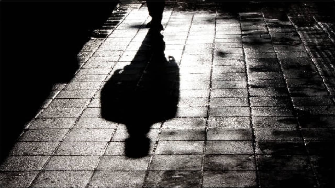 पाठलाग करणारी ती सावली अदृश्य झाली, अधिक निरीक्षण केल्यावर समजलं...