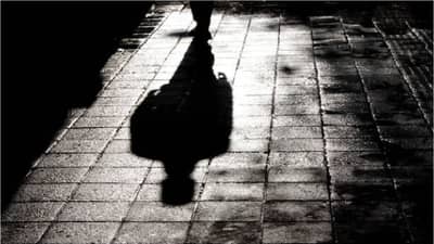 पाठलाग करणारी ती सावली अदृश्य झाली, अधिक निरीक्षण केल्यावर समजलं...