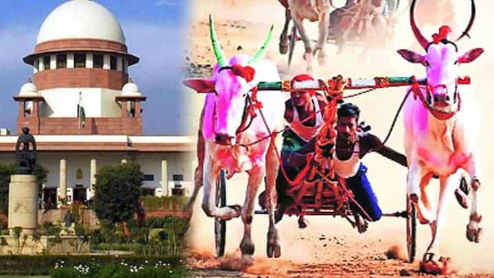 Bullock Cart Race : भिर्रर्रर्र.... हुर्ररररर...! बैलगाडा शर्यतींच्या मार्गातील अडथळे दूर, मार्ग झाला मोकळा; राज्यात जल्लोषाचं वातावरण Bullock Cart Race : भिर्रर्रर्र.... हुर्ररररर...! बैलगाडा शर्यतींच्या मार्गातील अडथळे दूर, मार्ग झाला मोकळा; राज्यात जल्लोषाचं वातावरण
