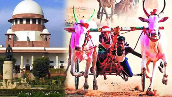 Bullock Cart Race : भिर्रर्रर्र.... हुर्ररररर...! बैलगाडा शर्यतींच्या मार्गातील अडथळे दूर, मार्ग झाला मोकळा; राज्यात जल्लोषाचं वातावरण Bullock Cart Race : भिर्रर्रर्र.... हुर्ररररर...! बैलगाडा शर्यतींच्या मार्गातील अडथळे दूर, मार्ग झाला मोकळा; राज्यात जल्लोषाचं वातावरण