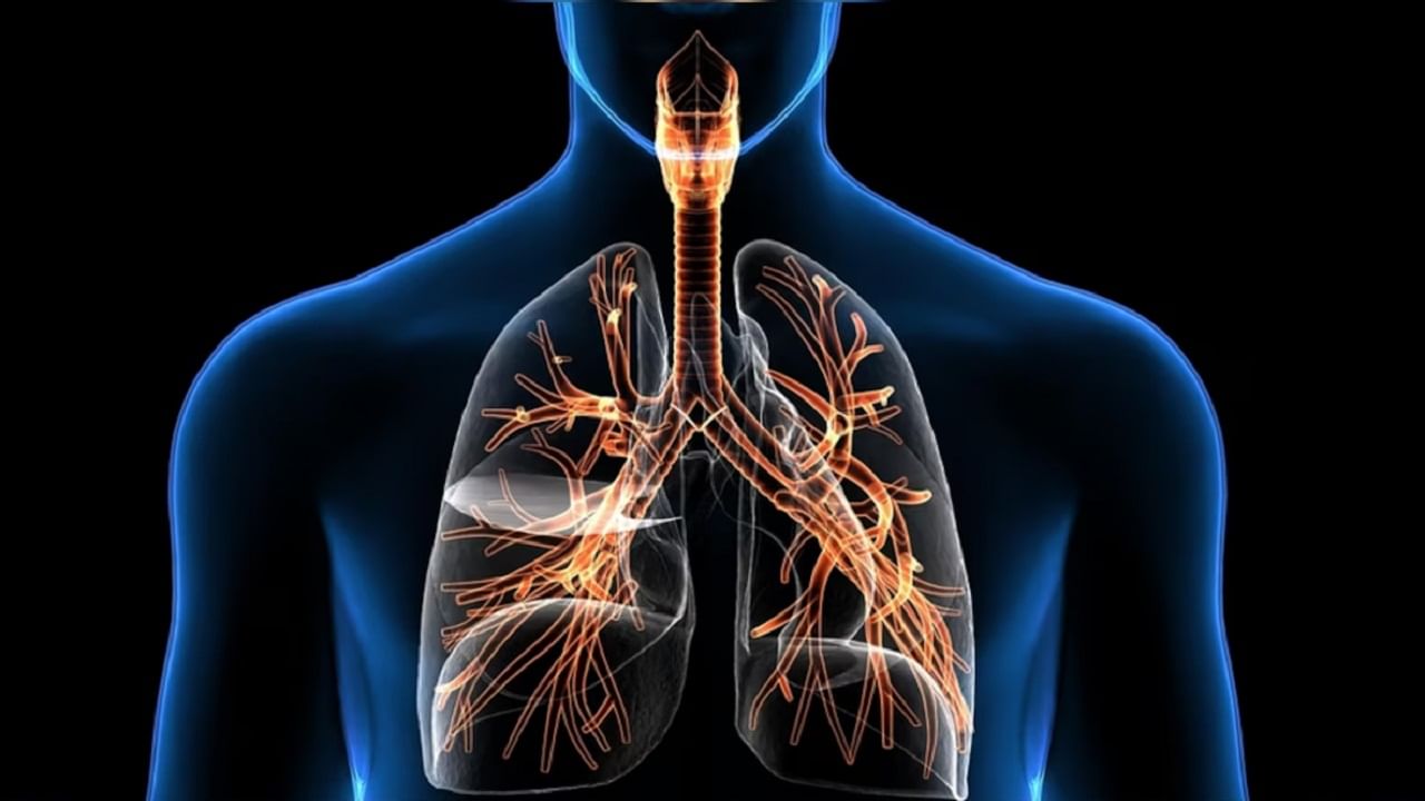 अधिक वेळ एसीत राहिल्याने श्वसनाच्या समस्या वाढू शकतात. त्यामुळे विविध आजार होण्याची शक्यता नाकारता येत नाही. 