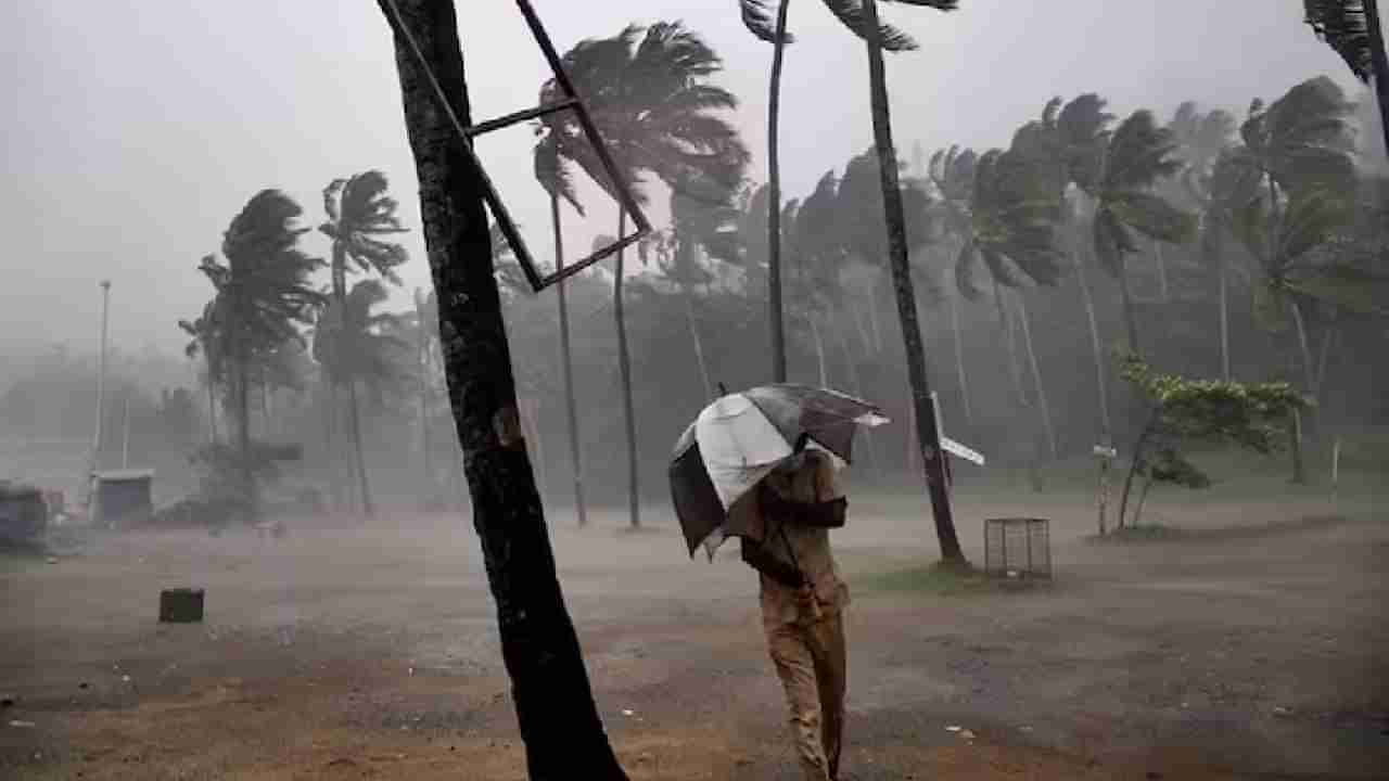 Monsoon Update : यंदा मान्सून धो धो बरसणार, पण... IMDचा दीर्घकालीन अंदाज आला