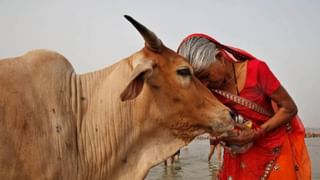 याला म्हणतात खरं प्रेम… पत्नीला रुग्णालयात पाहून नवरा ढसाढसा रडला; video पाहून नेटकरीही झाले इमोशनल