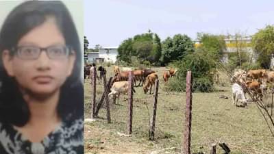 30 हजाराच्या पगारात 98 एकर जमीन आणि फार्महाऊस, कसं शक्य आहे?; हेमा मीणा हिचा कौटुंबीक मित्रही पकडला