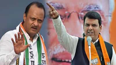 Maharashtra Politics : पोपट मेला! फडणवीस आणि अजित पवार यांच्यात वार- पटलटवार; म्हणाले, ‘कोण कुठं मेलय?’