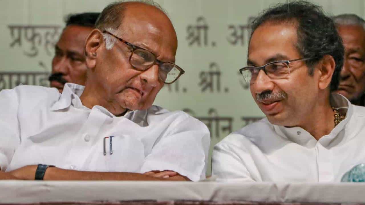 'पोपटाने आत्महत्या करावी, असेच 'हे' बोलतील'; सीमा वादावरून भाजप नेत्यानं मविआला सुनावले खडे बोल