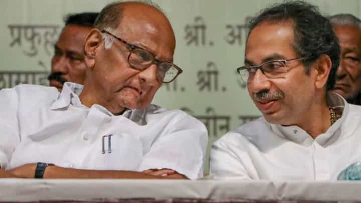 'पोपटाने आत्महत्या करावी, असेच 'हे' बोलतील'; सीमा वादावरून भाजप नेत्यानं मविआला सुनावले खडे बोल 'पोपटाने आत्महत्या करावी, असेच 'हे' बोलतील'; सीमा वादावरून भाजप नेत्यानं मविआला सुनावले खडे बोल