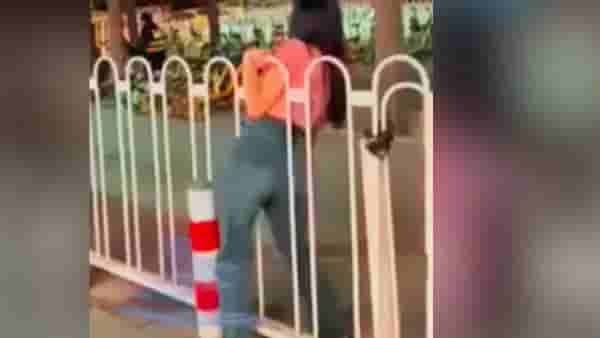 ‘पापा की परी’चा नवा कारनामा, रेलिंगमध्ये अशी अडकली मुलगी, व्हिडीओ झाला व्हायरल