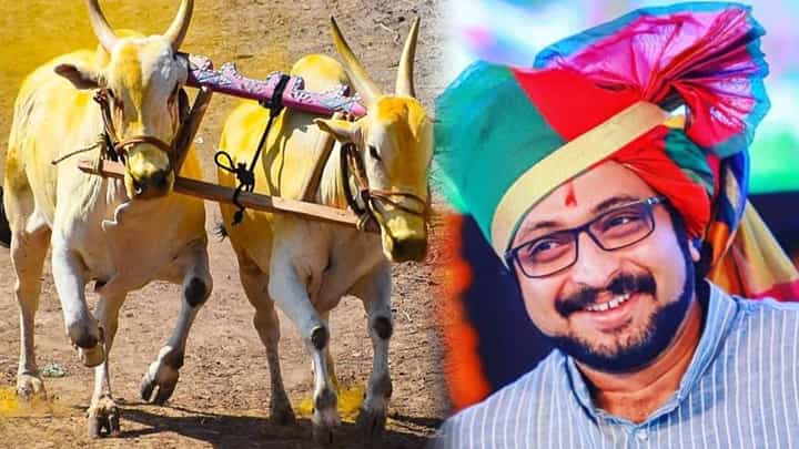 आता माळ राणात नाही तर येथे भरणार बैलगाडा शर्यती; खासदार अमोल कोल्हे यांची काय आहे मागणी? आता माळ राणात नाही तर येथे भरणार बैलगाडा शर्यती; खासदार अमोल कोल्हे यांची काय आहे मागणी?
