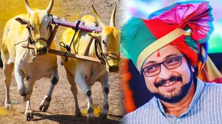 आता माळ राणात नाही तर येथे भरणार बैलगाडा शर्यती; खासदार अमोल कोल्हे यांची काय आहे मागणी? आता माळ राणात नाही तर येथे भरणार बैलगाडा शर्यती; खासदार अमोल कोल्हे यांची काय आहे मागणी?