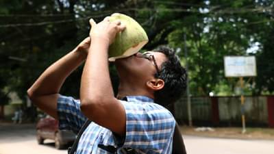 Diabetes असणाऱ्या लोकांनी नारळ पाणी प्यावं का? वाचा शुगर वाढेल की कमी होईल...