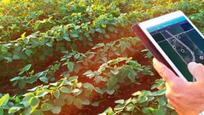 Farming : बनू शकले नाही सरकारी अधिकारी, आता शेतीतून कमवतात २५ लाखांचे वार्षिक उत्पन्न