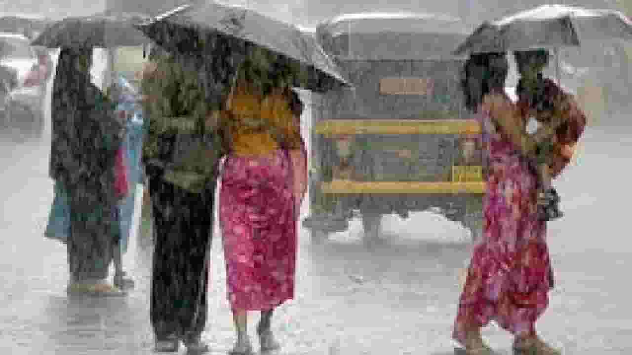 दिलासा ! राज्यात 'या' दिवशी मान्सूनची एन्ट्री, यंदा कसा होणार पाऊस?