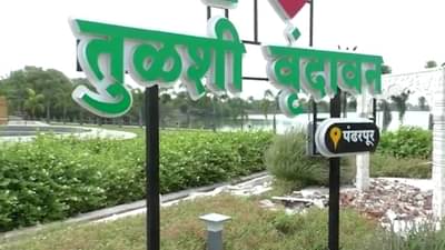 पंढरपूरच्या तुळशी वृंदावनातील संतांची मंदिरं धोक्यात; दोन महिन्यात दोन मंदिरे कोसळली? इतर मंदिरांचं काय?