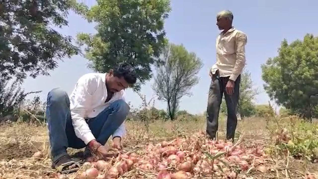 कांद्याला महाराष्ट्रात ४०० ते ५०० रुपये, तर तेलंगणात १९०० रुपये भाव!, कांदा तेलंगणाच्या दिशेने रवाना