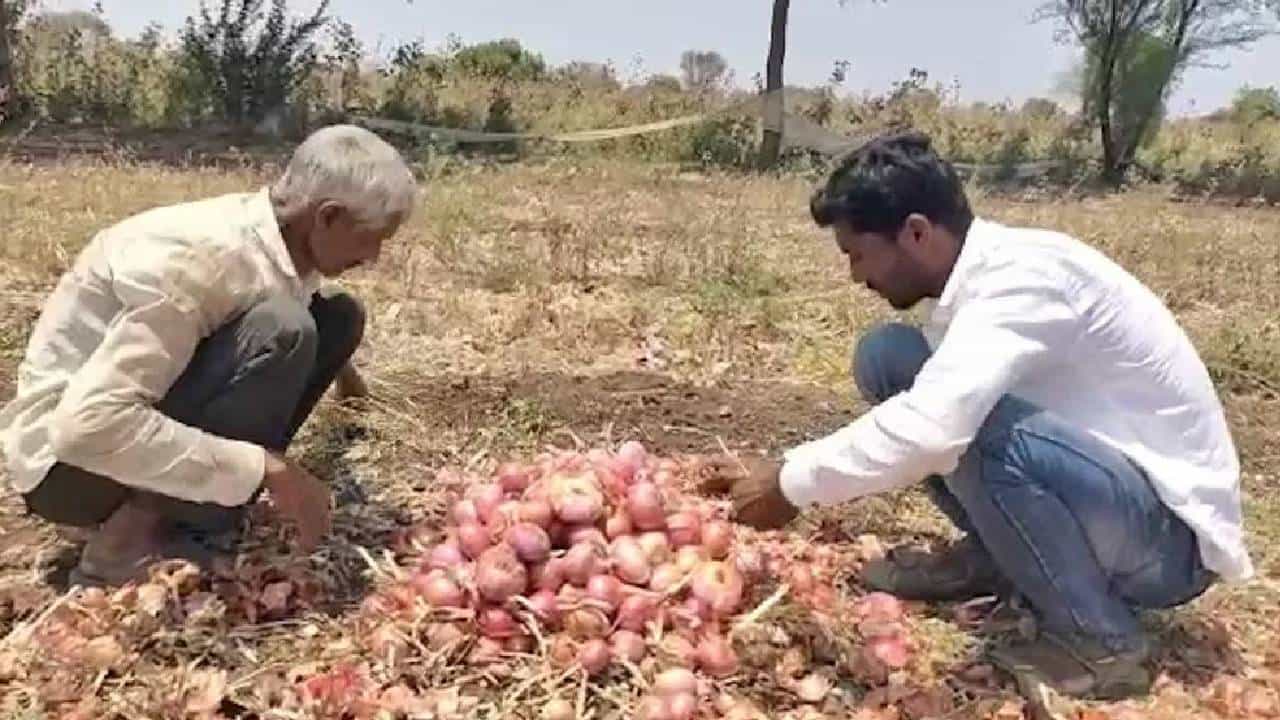 शेतकऱ्याची क्रूर थट्टा! कांदे विकला; दमडीही मिळाली नाही, उलट व्यापाऱ्यालाच द्यावे लागले 986 रुपये शेतकऱ्याची क्रूर थट्टा! कांदे विकला; दमडीही मिळाली नाही, उलट व्यापाऱ्यालाच द्यावे लागले 986 रुपये