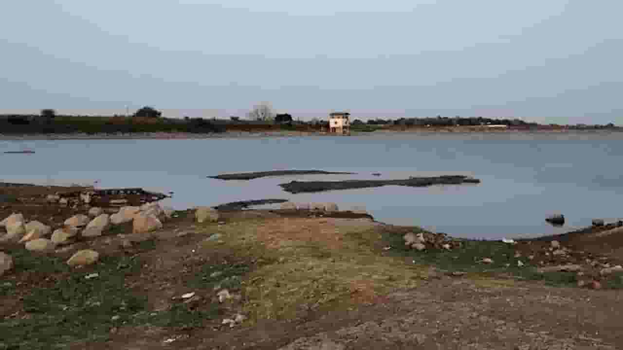 धुळेकरांना आता हरणमाळ धरणाचाच आधार? काय आहे कारण? नकाने तलावाचं काय झालं? धुळेकरांना आता हरणमाळ धरणाचाच आधार? काय आहे कारण? नकाने तलावाचं काय झालं?