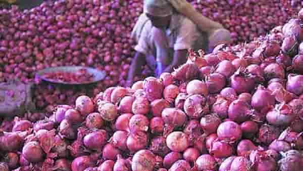 खुलताबाद सुलतानपूरच्या शेतकऱ्याचा सय्यमाचा बांध फुटला; शेतकऱ्याने केलं अस काही की सगळा कांदा…