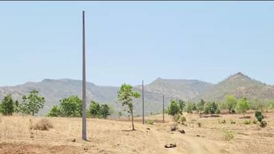 वनविभागाने परवानगी नाकारली, महावितरणकडून फसवणूक, शेतकरी अडचणीत