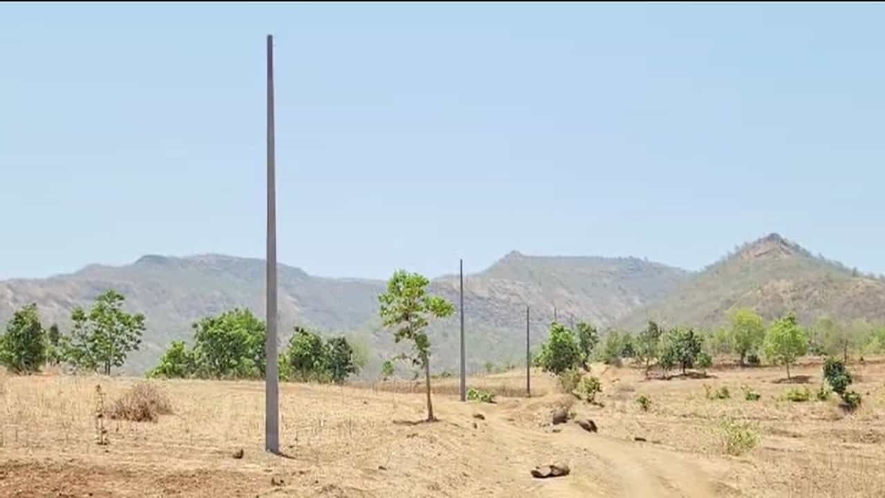 वनविभागाने परवानगी नाकारली, महावितरणकडून फसवणूक, शेतकरी अडचणीत