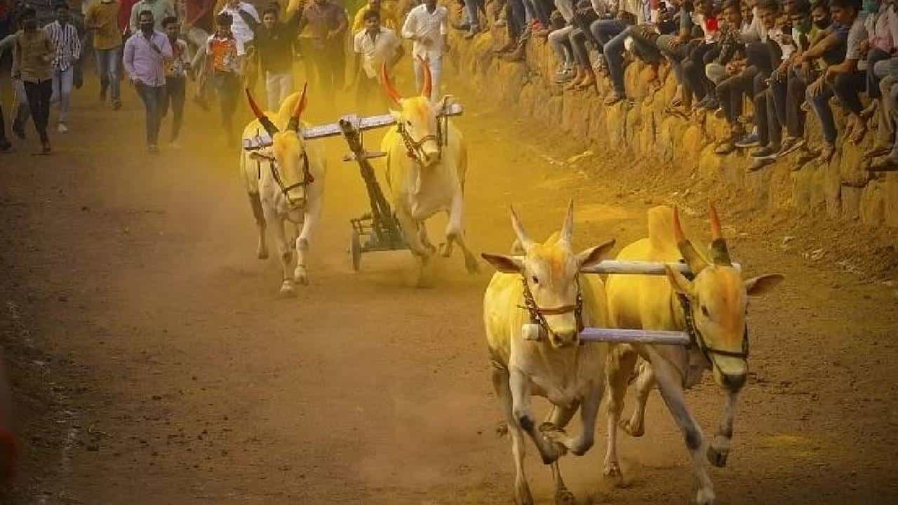 राज्यातील पुढाऱ्यांसाठी खास बातमी! आता वाढदिवशी हुर्ररररर करता येणार नाही? शिंदे सरकारनं काय घेतला निर्णय? राज्यातील पुढाऱ्यांसाठी खास बातमी! आता वाढदिवशी हुर्ररररर करता येणार नाही? शिंदे सरकारनं काय घेतला निर्णय?