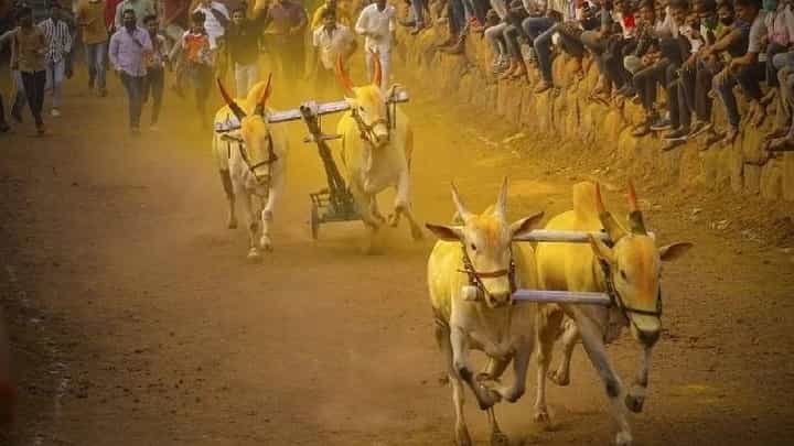 राज्यातील पुढाऱ्यांसाठी खास बातमी! आता वाढदिवशी हुर्ररररर करता येणार नाही? शिंदे सरकारनं काय घेतला निर्णय? राज्यातील पुढाऱ्यांसाठी खास बातमी! आता वाढदिवशी हुर्ररररर करता येणार नाही? शिंदे सरकारनं काय घेतला निर्णय?